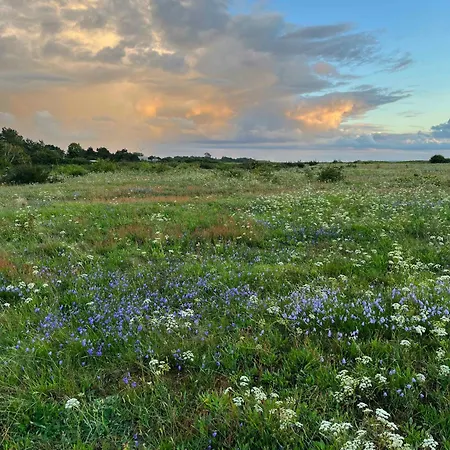 Vakantiehuis Cozy With A Beautiful View *